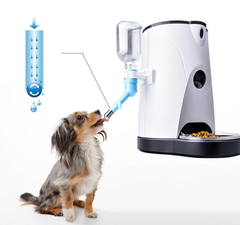 Pet automatic feeder Main image
