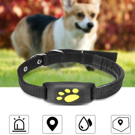 GPS Pet Tracker Main image